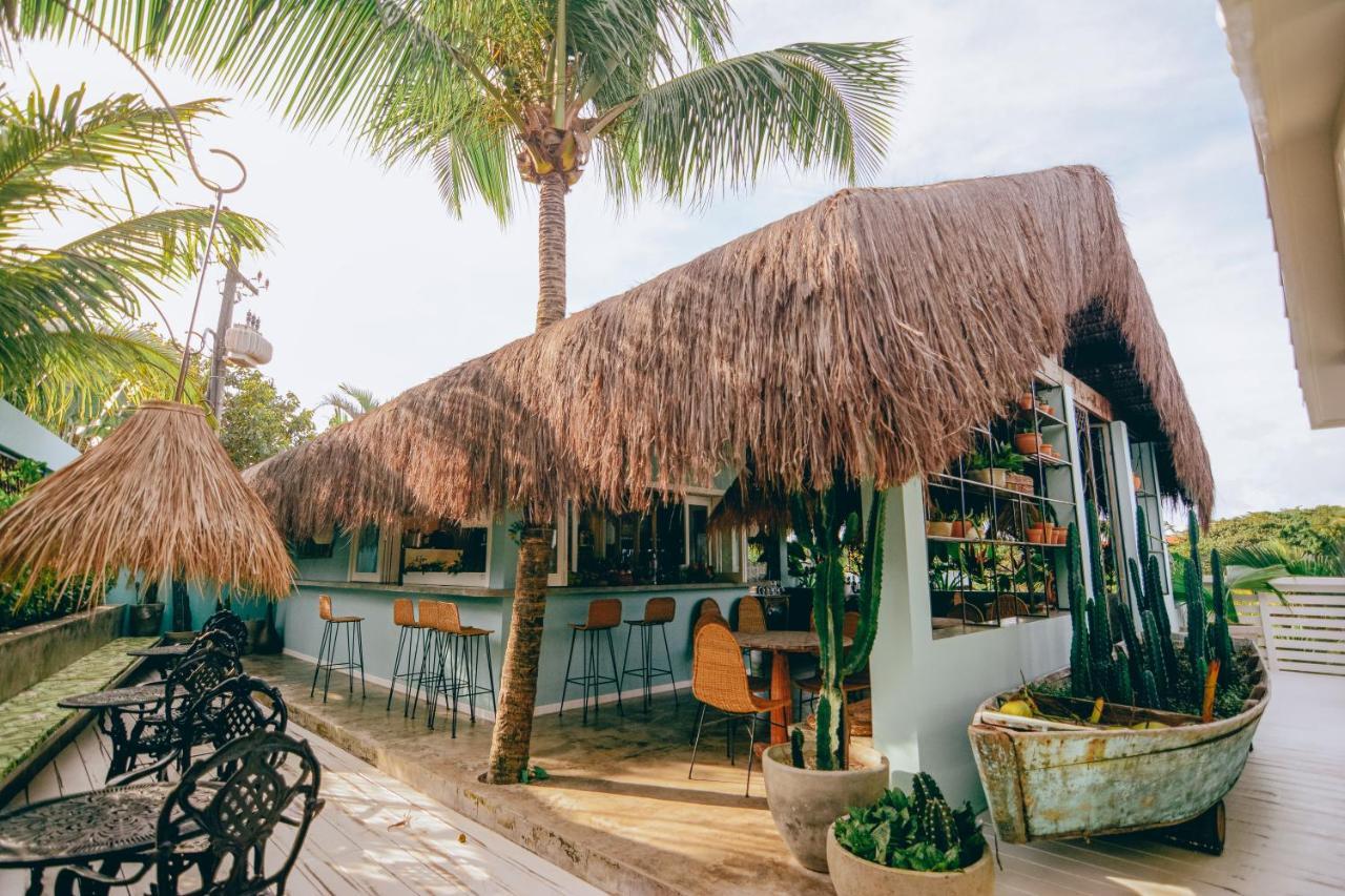 Cactus Lodge Pipa Praia de Pipa Luaran gambar